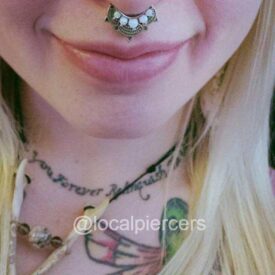 Fake Septum Nose Ring