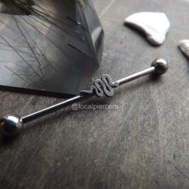 Snake Industrial Barbell