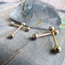 Titanium Rose Gold Barbells