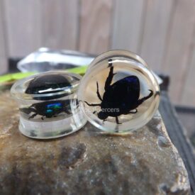 Beetle Plugs