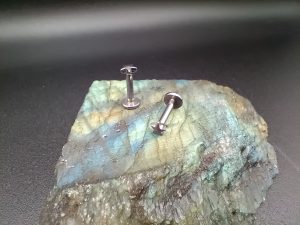 conch piercing studs
