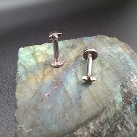 conch piercing studs