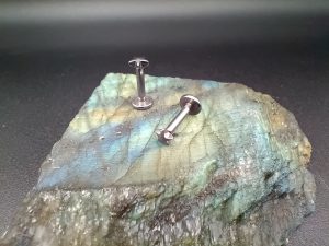 conch piercing studs