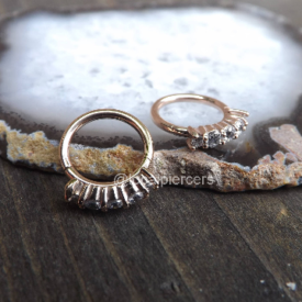 Rose Gold Segment Ring 16g 5/16" Septum Nose Rings Helix Piercing Body Jewelry Tragus Rook Daith Cartilage Piercings
