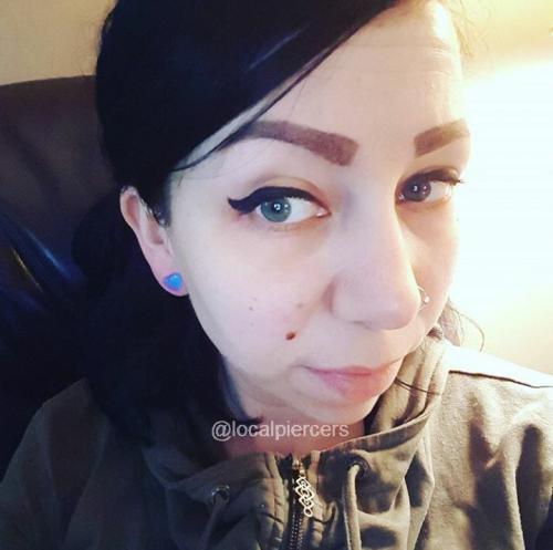 Heart Shaped Opalite Plugs