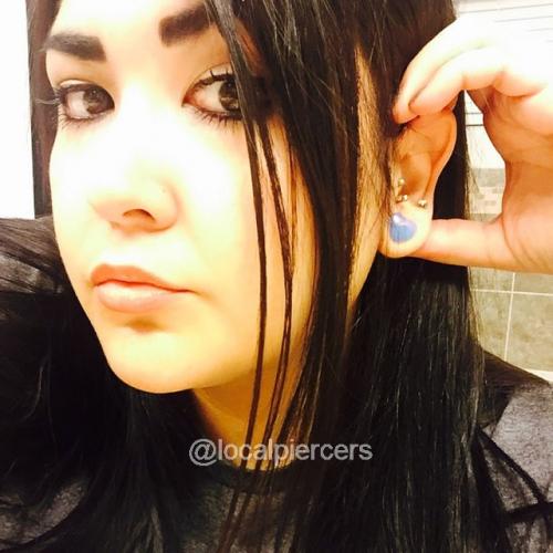 Heart Shaped Opalite Plugs