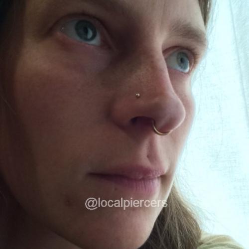 Titanium Septum Ring